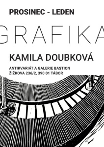 Kamila Doubková - Grafika (prosinec 2023, leden 2024)