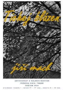 Jiří Mach - Tichej blázen