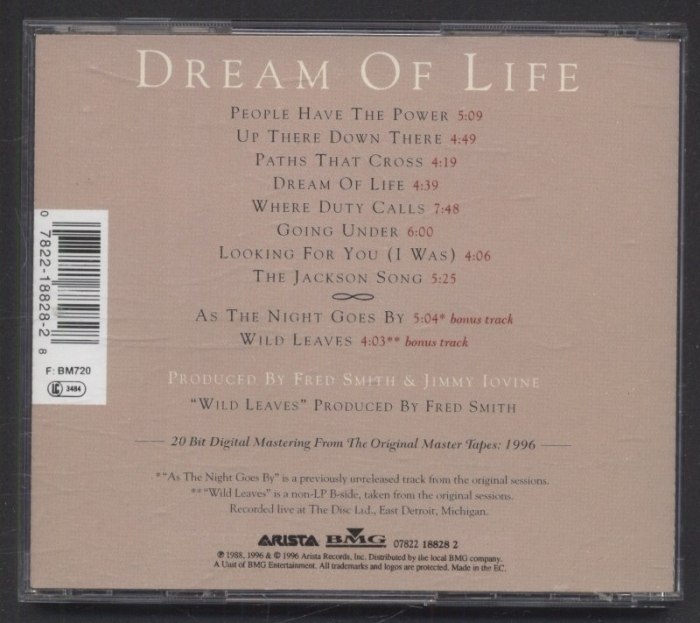 Patti Smith - Dream Of Life (CD)
