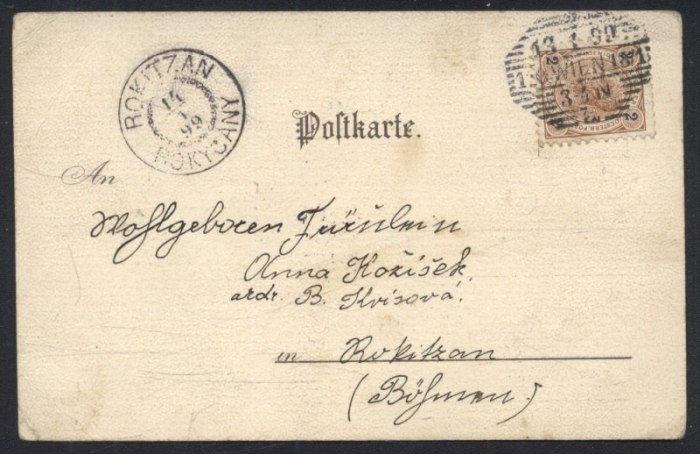 Wien. Stephansplatz. (F. Czech 1898)