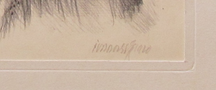 Jakub Obrovský - Květinářka (litografie)