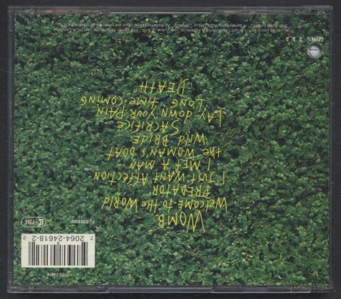 Toni Childs - The Woman's Boat (CD)