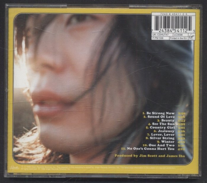 James Iha - Let It Come Down (CD)