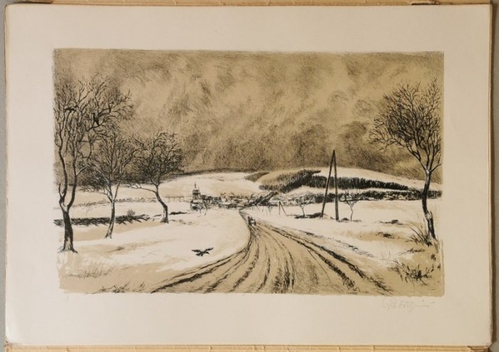 Probošt, Jiří - Alšovým krajem