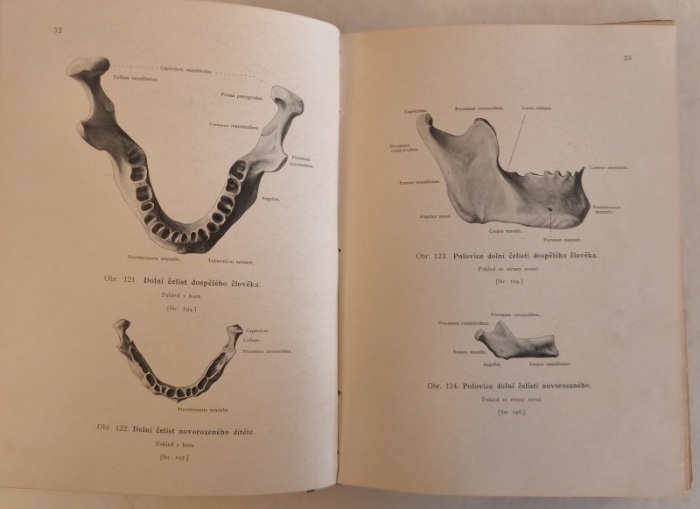 Janošík, Jan - Anatomický atlas ku studiu a praktické potřebě; Anatomie člověka