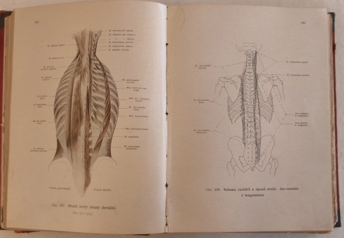 Janošík, Jan - Anatomický atlas ku studiu a praktické potřebě; Anatomie člověka