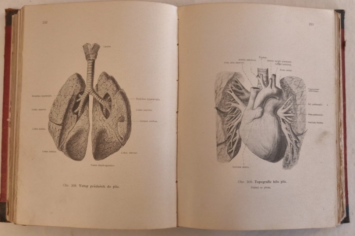 Janošík, Jan - Anatomický atlas ku studiu a praktické potřebě; Anatomie člověka