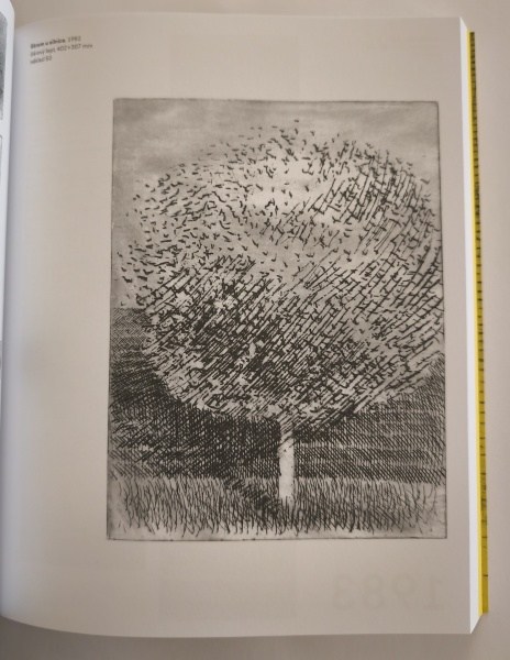 Hůla, Jiří; Aulická, Hana (eds.) - Marie Blabolilová: Grafika
