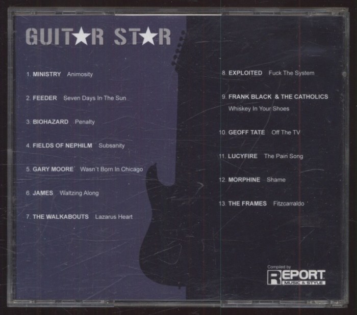 Various - Guitar Star (CD)