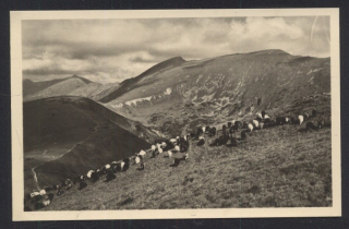 Nízké Tatry, pohľad na Chopok, Ďumbier, Králičku