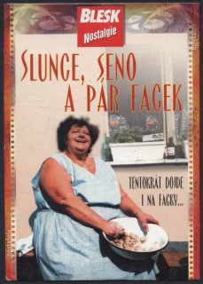 Slunce, seno a pár facek (DVD)