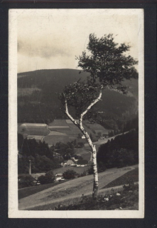 Horská chata Alba (Orlické hory)