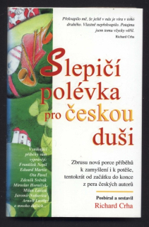 Kolektiv autorů - Slepičí polévka pro českou duši