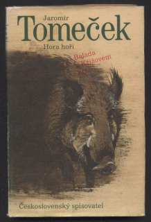 Tomeček, Jaromír - Hora hoří
