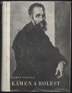 Schulz, Karel - Kámen a bolest