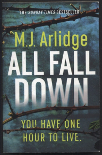 Arlidge, M. J. - All Fall Down (v angličtině)