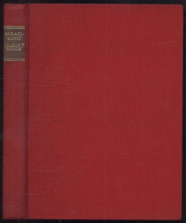 Serafimovič, Aleksandr S. - Železný potok