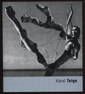 Srp, Karel - Karel Teige