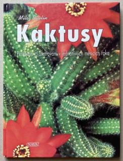 Pavlín, Miloš - Kaktusy 