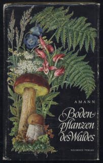 Amann, Gottfried - Boden-pflanzen des Waldes (německy)