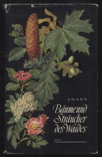 Amann, Gottfried - Bäume und Sträucher des Waldes (německy)