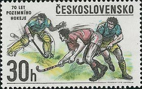2307 - 70. let pozemního hokeje