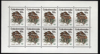 2909PL-2913PL - Jedovaté houby