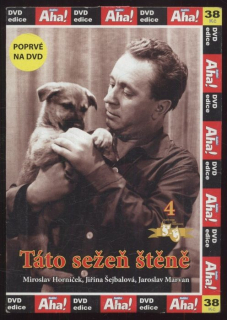 Táto, sežeň štěně! (DVD)