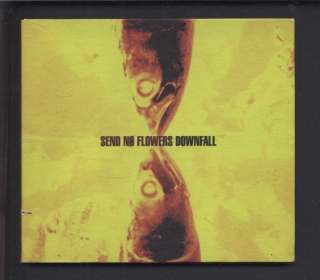 Send No Flowers  - Downfall (CD-single)