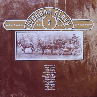 various artists - Dvorana slávy 5 (2LP)