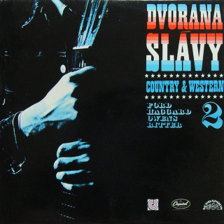 various artists - Dvorana slávy 2 (2LP)