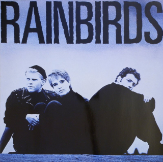 Rainbirds - Rainbirds (LP)