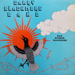 Garry Blackmore Band - Red Winged Blackbird