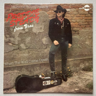 Freddie Steady - When The Wall Came Down (LP)