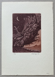 Herbert Kisza - Ex libris Gabriela Frydrychová (akvatinta)