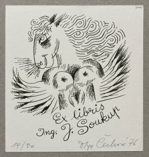 Olga Čechová - Ex libris Ing. J. Soukup (litografie)