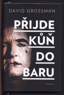 Grossman, David - Přijde kůň do baru