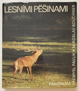 Pavlík, Přemysl; Bouchner, Miroslav - Lesními pěšinami