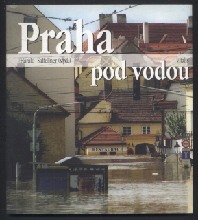 Kolektiv autorů - Praha pod vodou