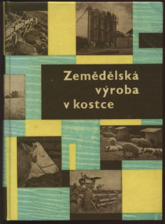 Forchtsam, Vlastimil; Prachal, Jan a kolektiv autorů - Zemědělská výroba v kostce