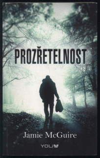 McGuire, Jamie - Prozřetelnost