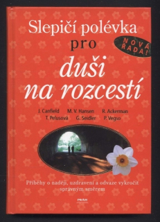 Kolektiv autorů - Slepičí polévka pro duši na rozcestí