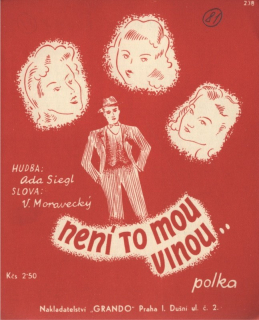 Není to mou vinou