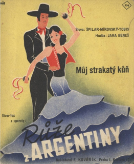 Můj strakatý kůň