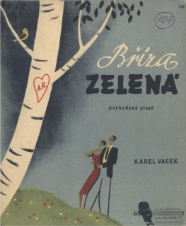 Bříza zelená