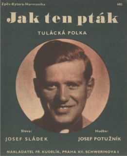 Jak ten pták