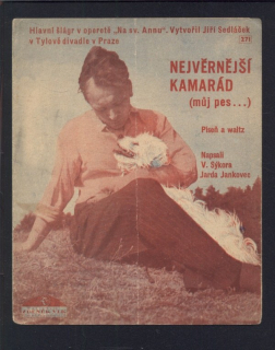 Nejvěrnější kamarád (můj pes...)