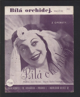 Bílá orchidej