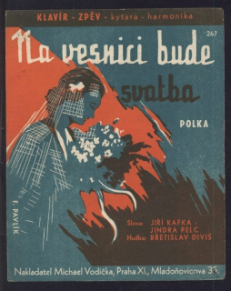 Na vesnici bude svatba