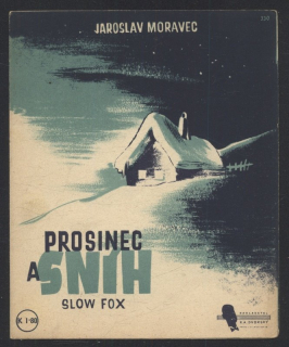 Prosinec a sníh